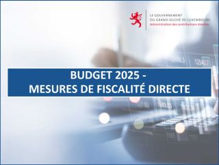 Budget 2025 - Mesures de fiscalité directe