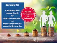 Ouverture de la démarche 960 sur MyGuichet